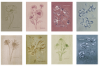 'A CARD FOR EVERY OCCASION' - PACK OF 8 GREETINGS CARDS