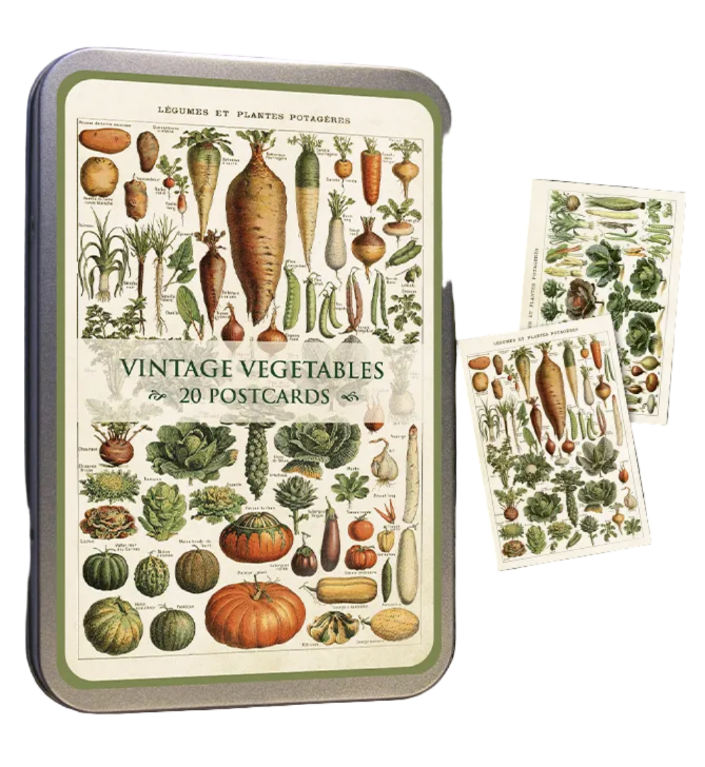20 Postcard In A Tin | Vintage Vegetables