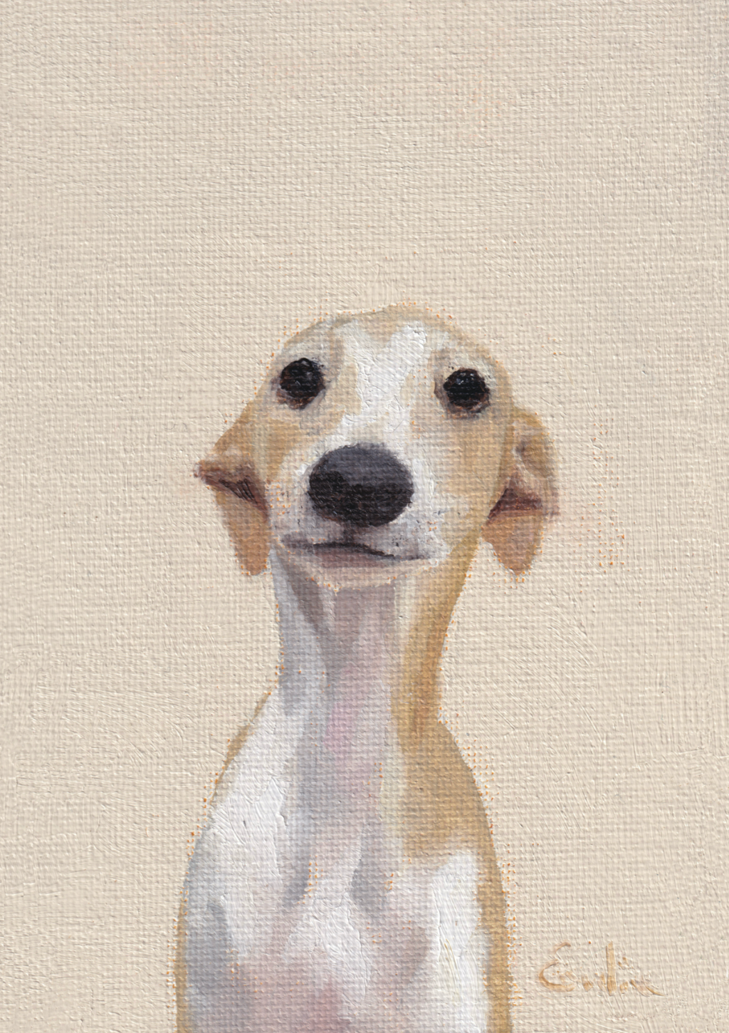 Pack of 4 Doggie Greetings Cards