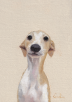 Pack of 4 Doggie Greetings Cards