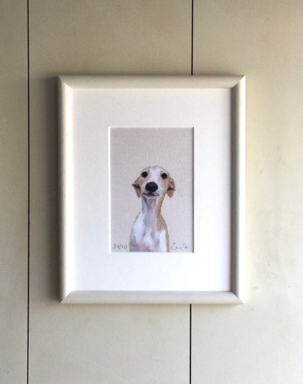 Whippet