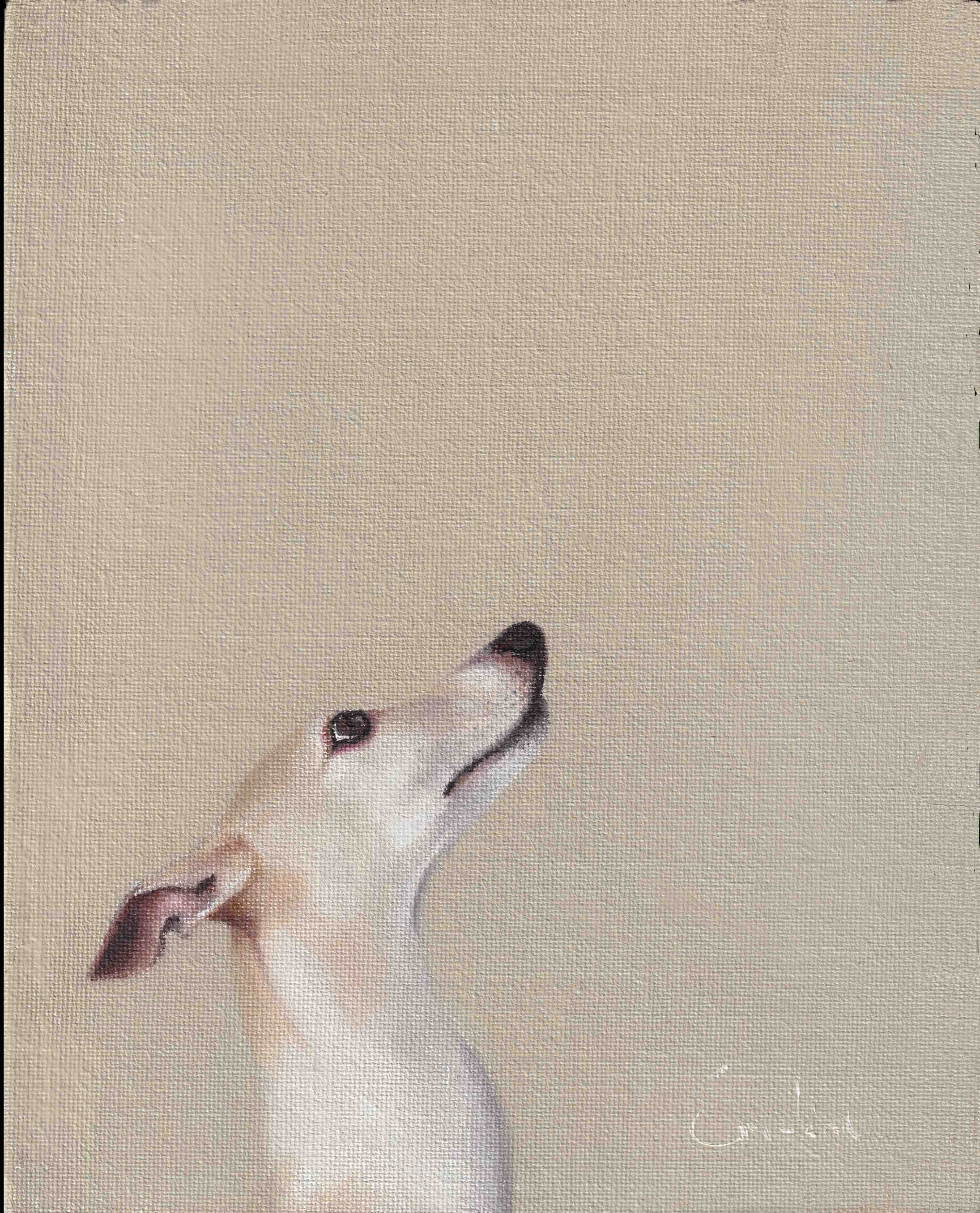 Pack of 4 Doggie Cards