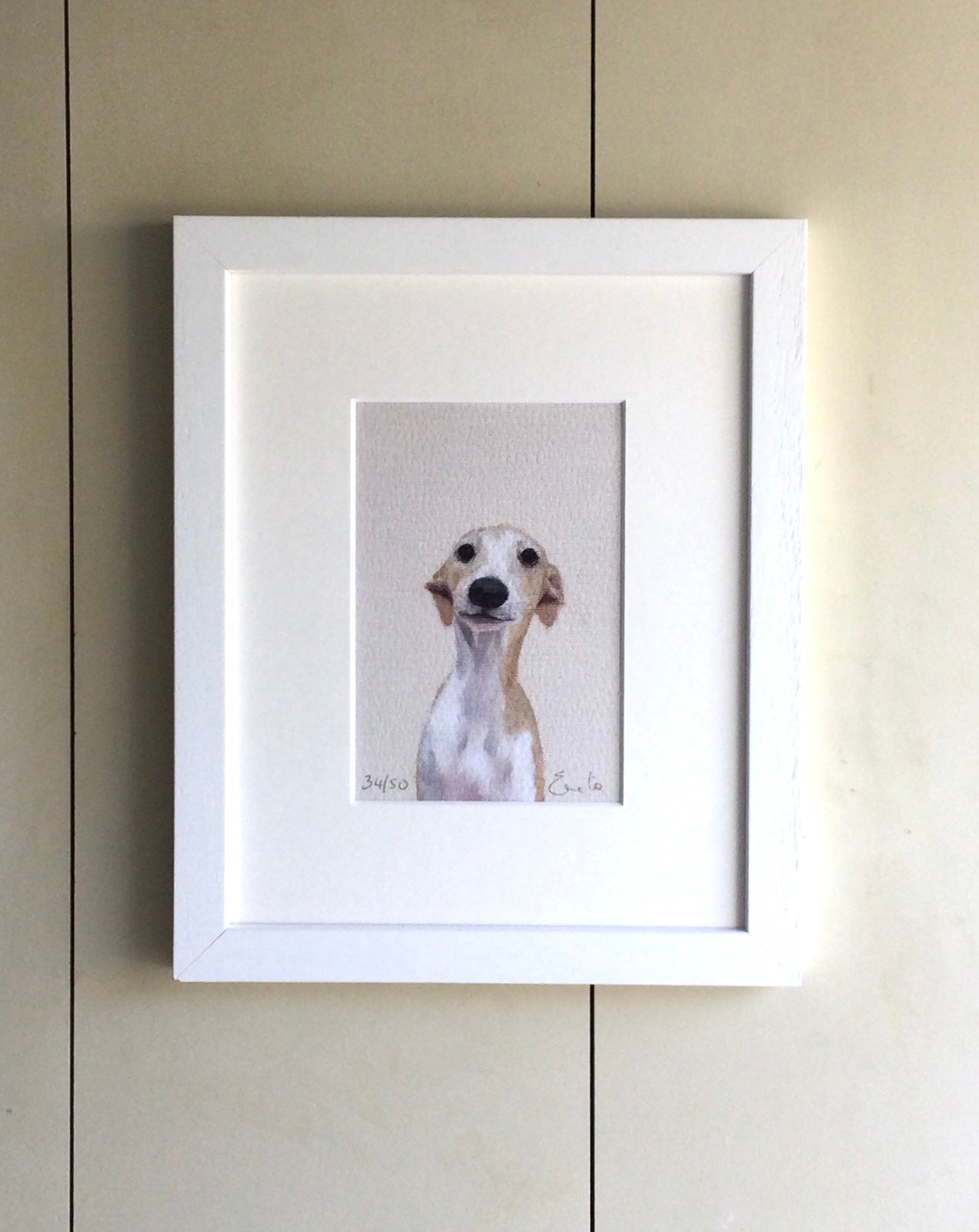 Whippet