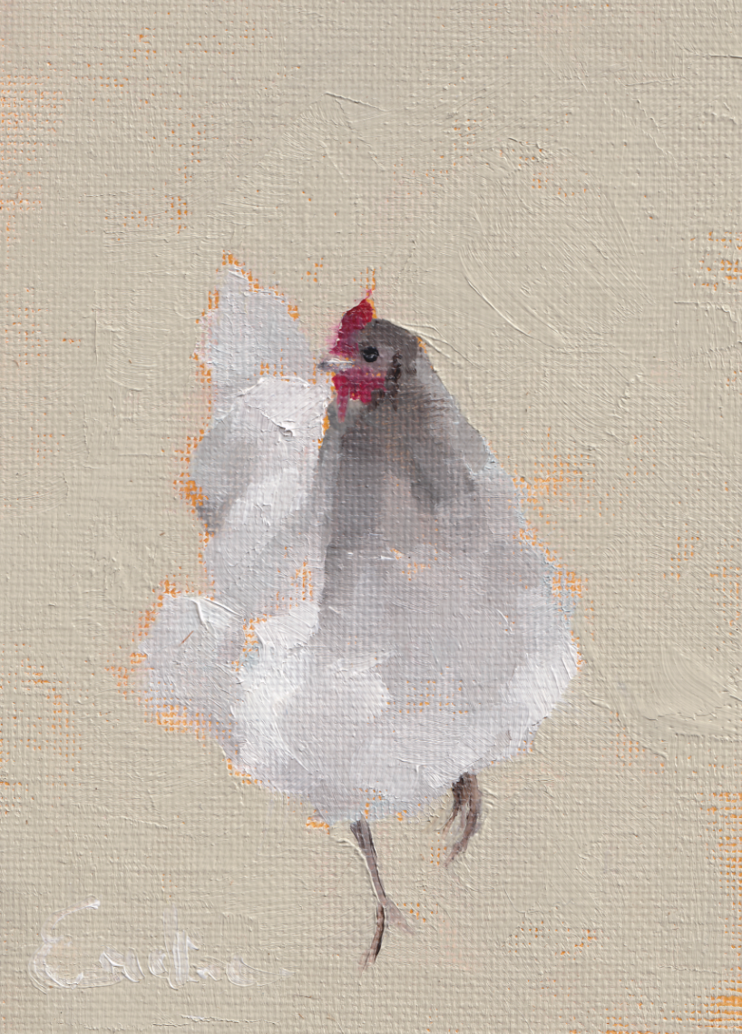 Pack of 4 Chicken Cards
