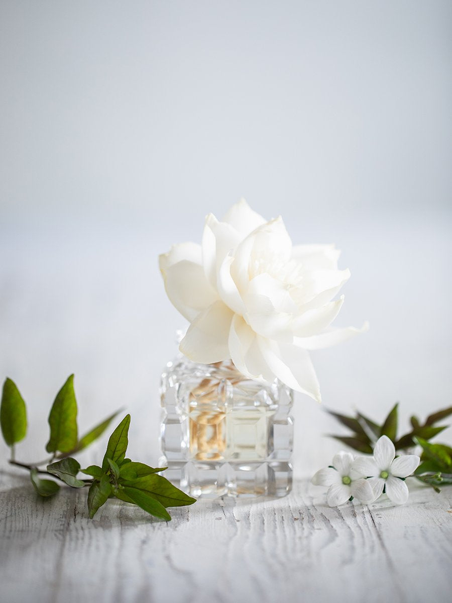 Oriental Jasmine - Diffuser Fragrance Refill image 1