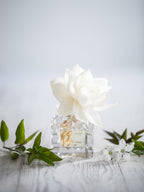 Oriental Jasmine - Diffuser Fragrance Refill image 1