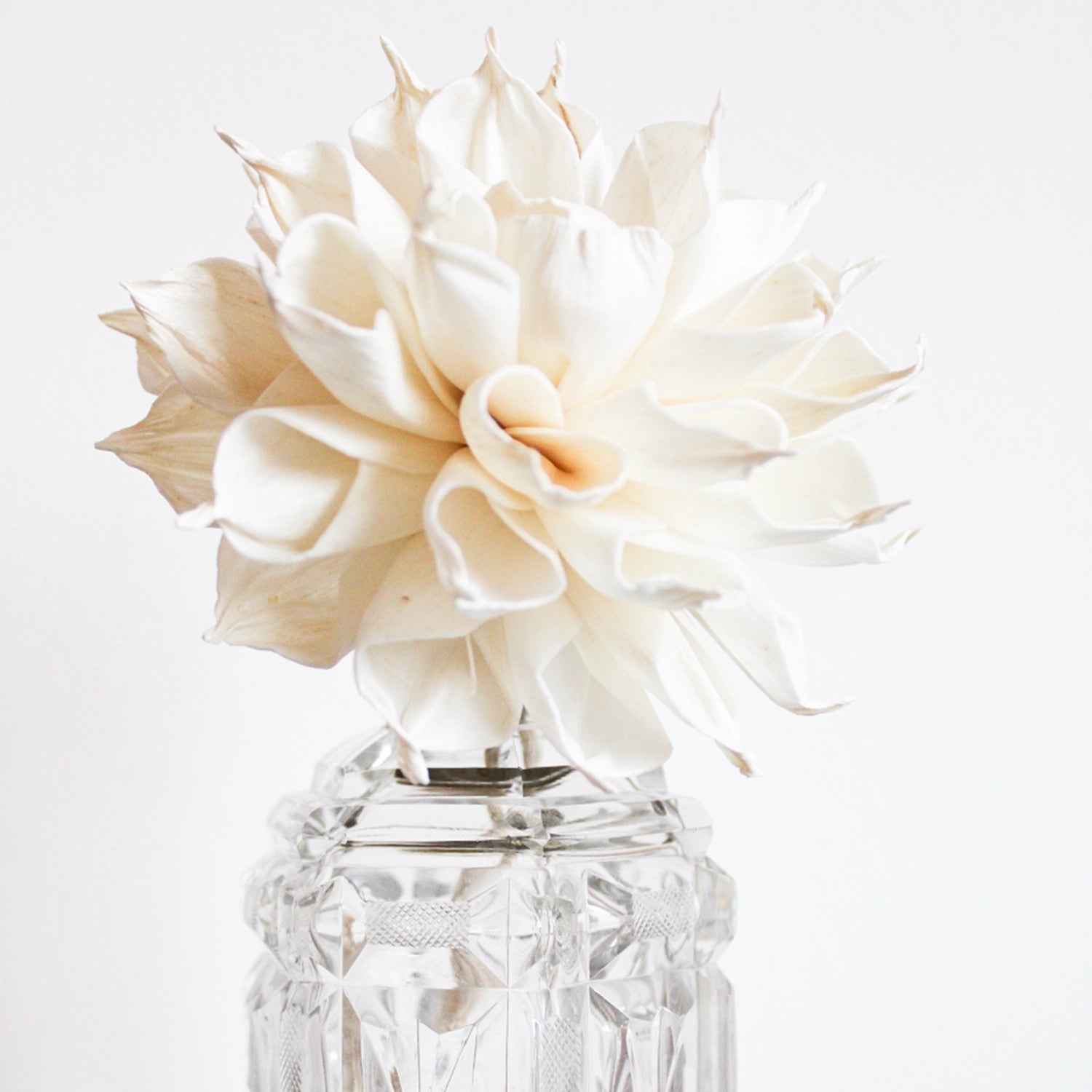 Large Diffuser Flower - Dahlia image 1