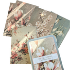 20 Postcard In A Tin | Vintage Spring