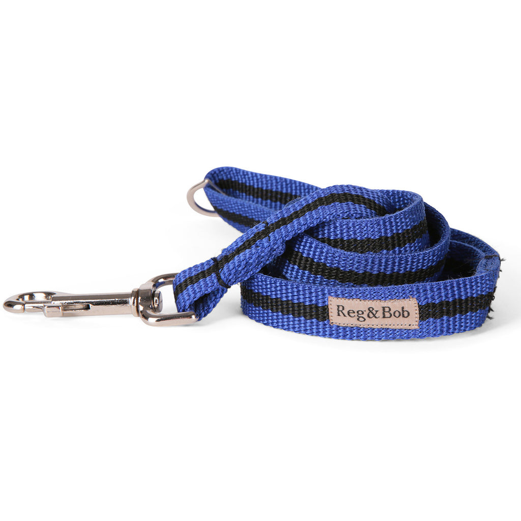 Best Lead Blue Ribbon Leads - 2 sizes – The Curated Store UK