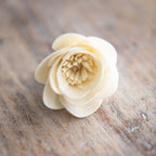Tiny Diffuser Flower – Starflower image 0