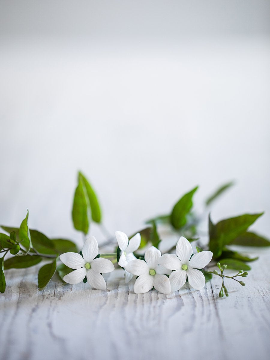 Oriental Jasmine - Diffuser Fragrance Refill image 3