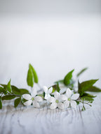 Oriental Jasmine - Diffuser Fragrance Refill image 3