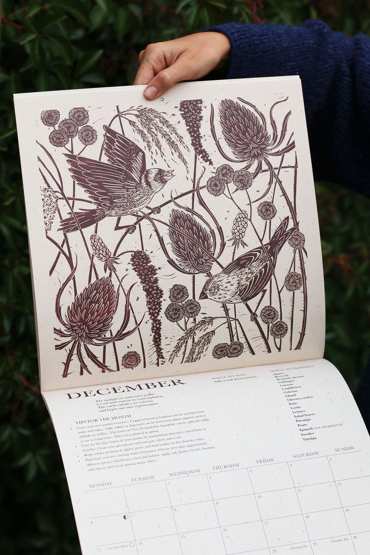 2027 Lino Print Calendar - Growing Through The Seasons | Isla Middleton