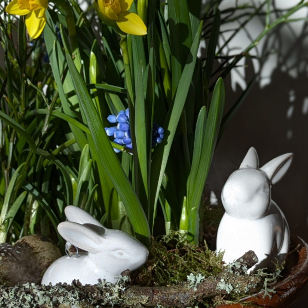 Spring Bulbs Planter incl Quail Eggs & White Wax Flowers | 18cm or 24cm