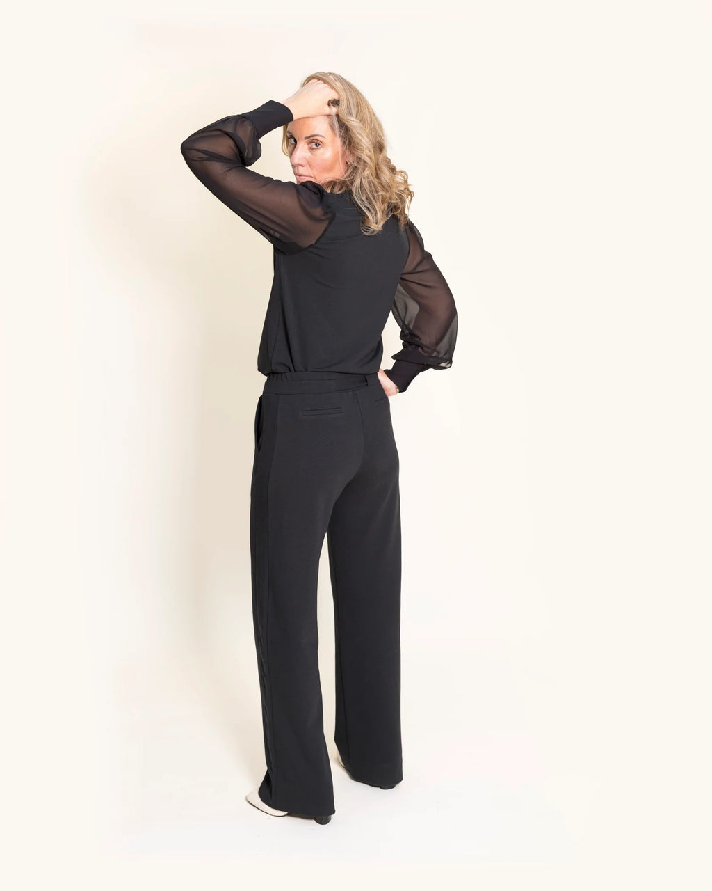 Daphne Sheer Sleeve Top