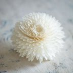 Zinnia Diffuser Flower image 0