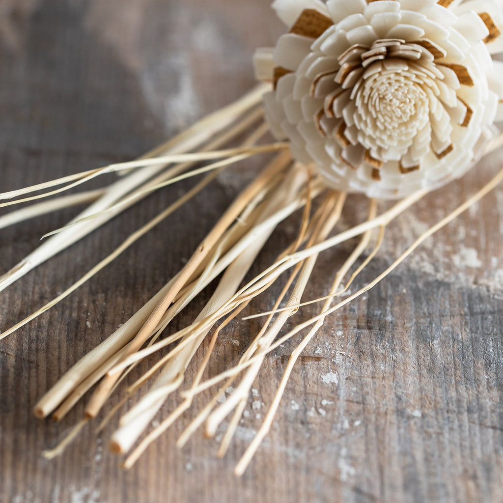 Wild Diffuser Reeds Set image 3