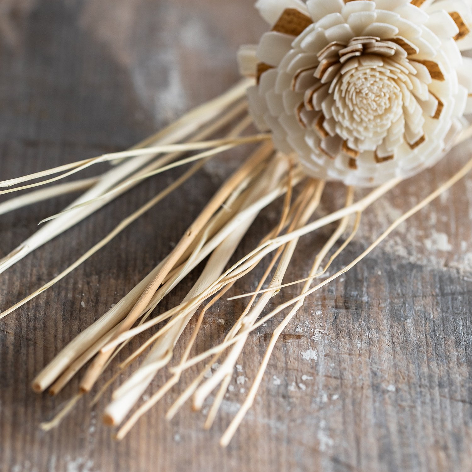 Wild Diffuser Reeds Set image 3