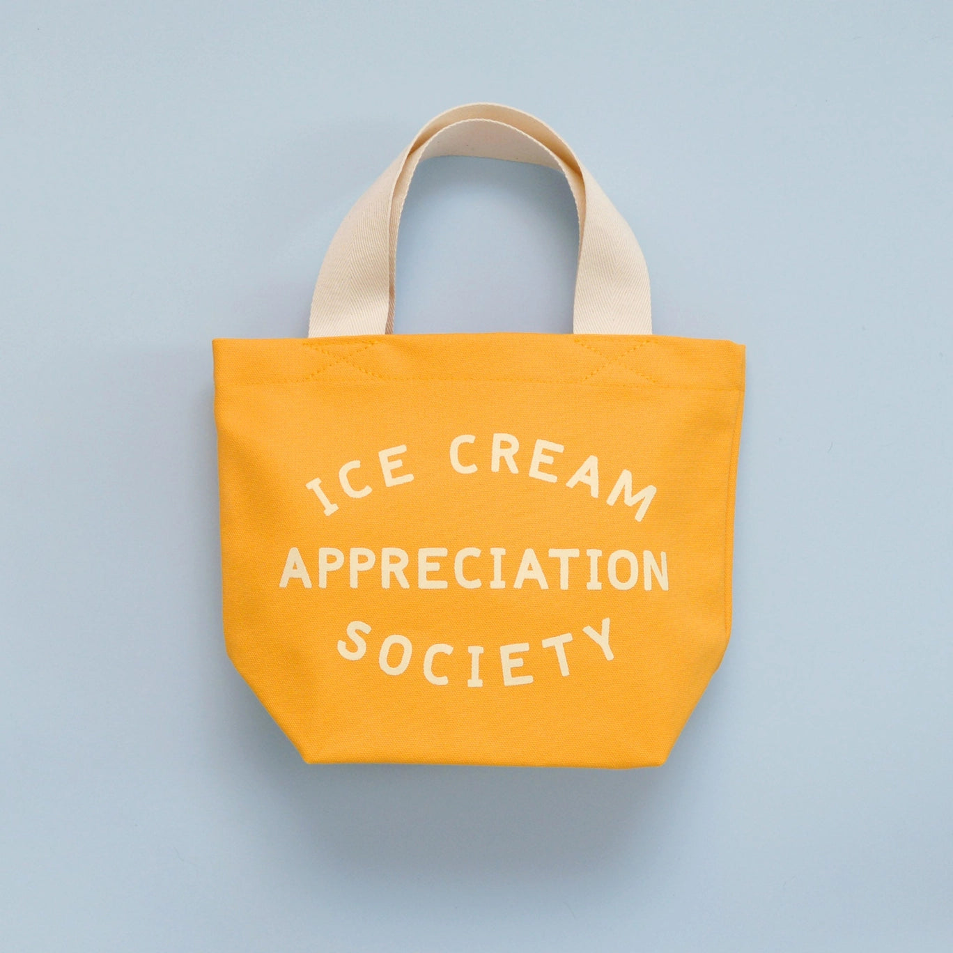 Ice Cream Bag