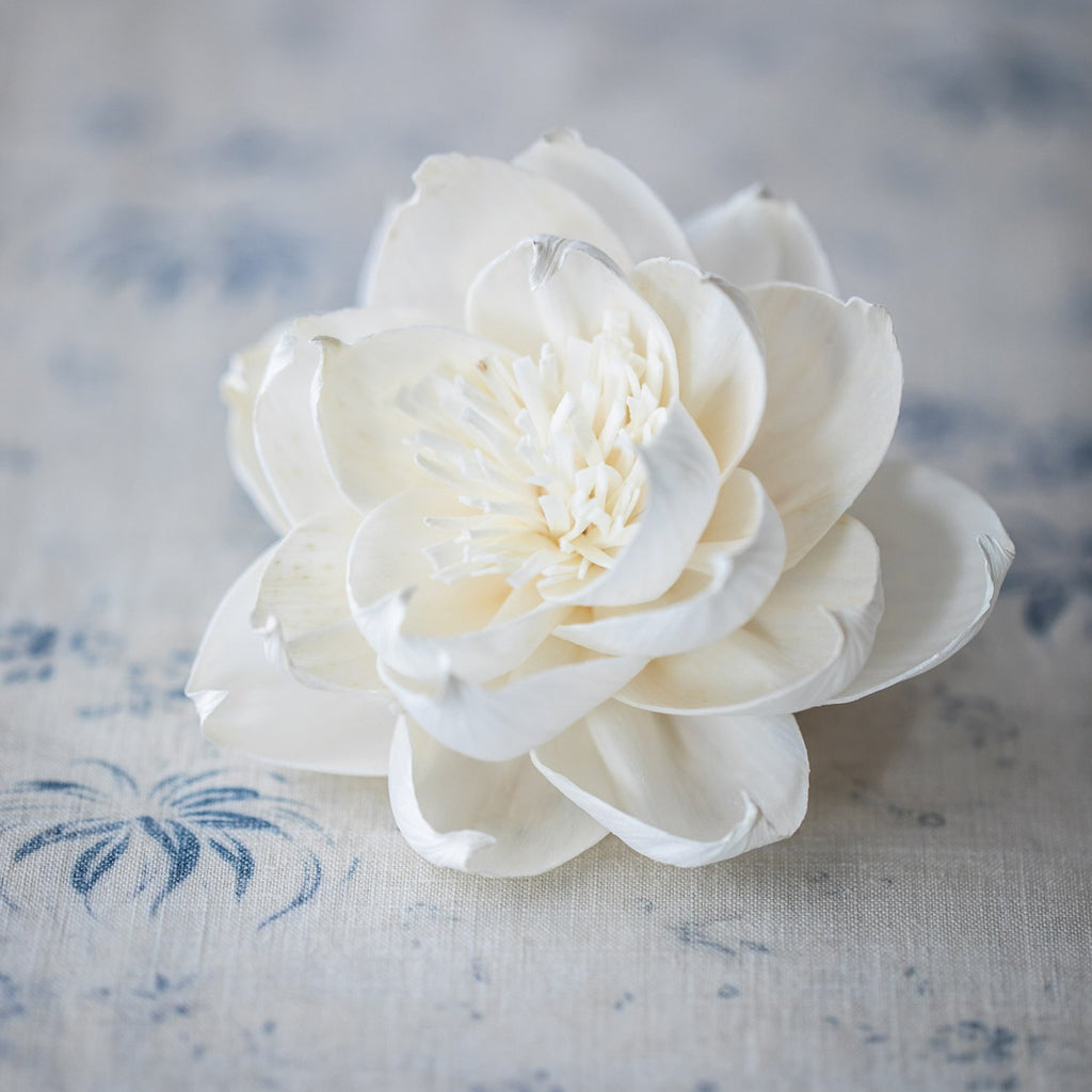 Large Diffuser Flower - Cosmos image 3