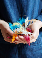 Colouring Book with Feathers