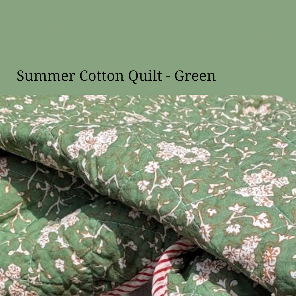 Summer Cotton Quilt - Assorted design with Striped Edging | 2 Sizes