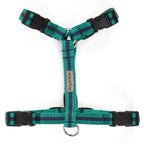 Harness - 3 sizes