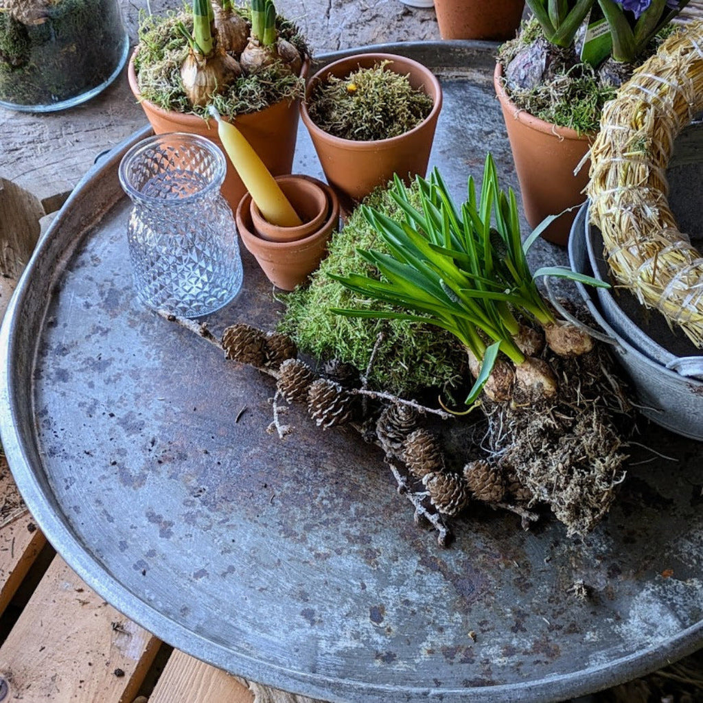 Large Rustic Round Zinc Garden Tray | 40cm