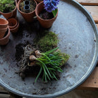 Large Rustic Round Zinc Garden Tray | 40cm