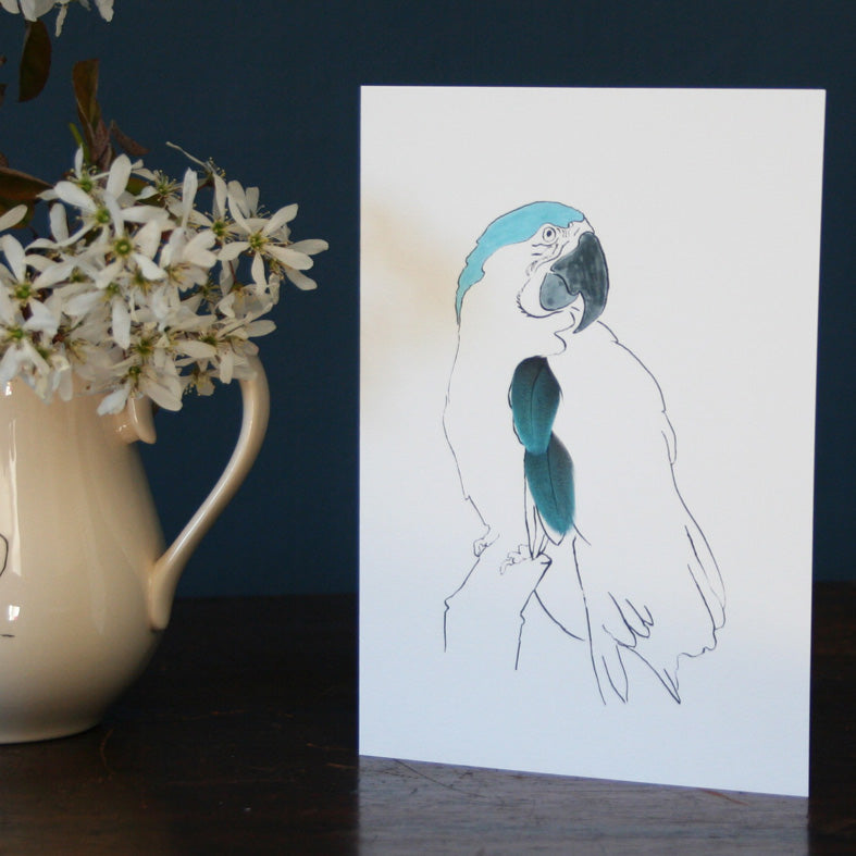 Parrot Cards