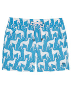 Swim Shorts LURCHER