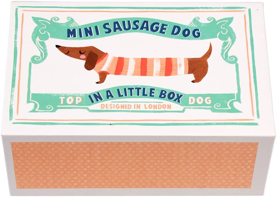 Sausage dog in a box