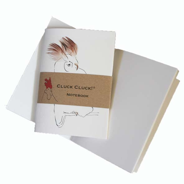 Sketch books A6