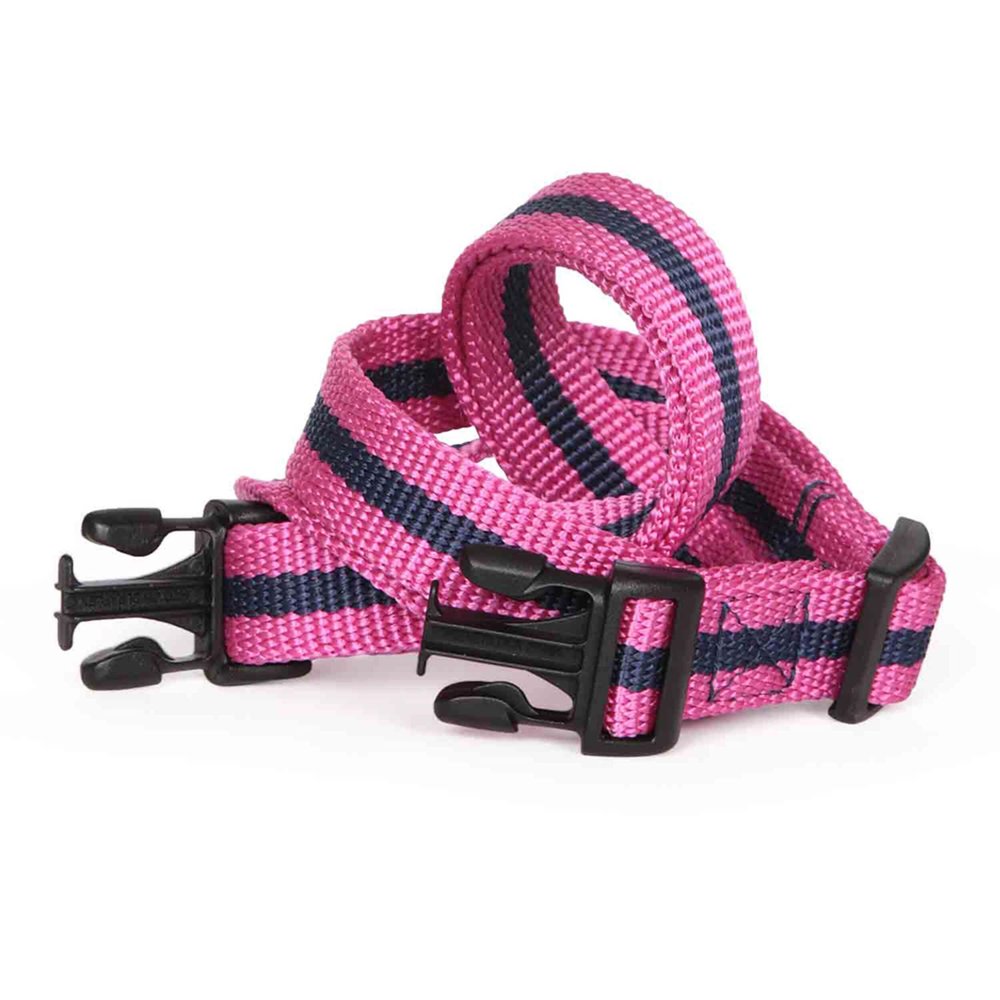 Crossbody Dog Walking Bag