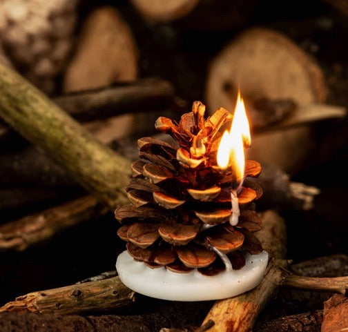 Recycled Wax Fire Lighters