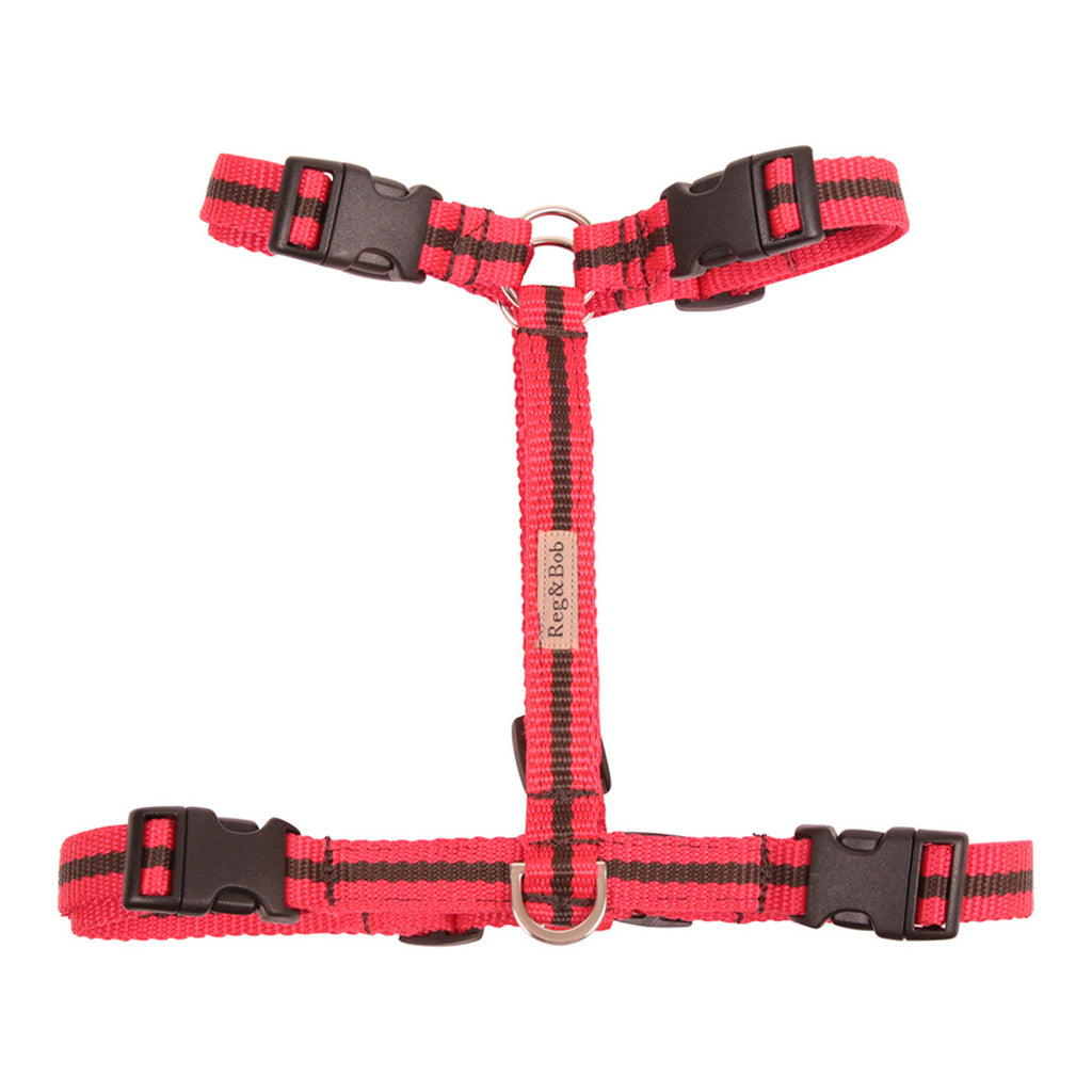 Harness - 3 sizes