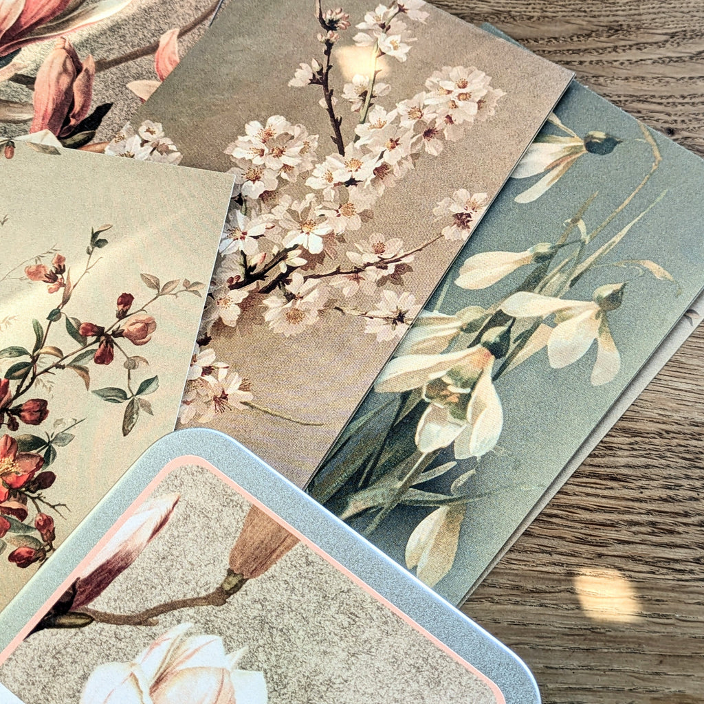 20 Postcard In A Tin | Vintage Spring