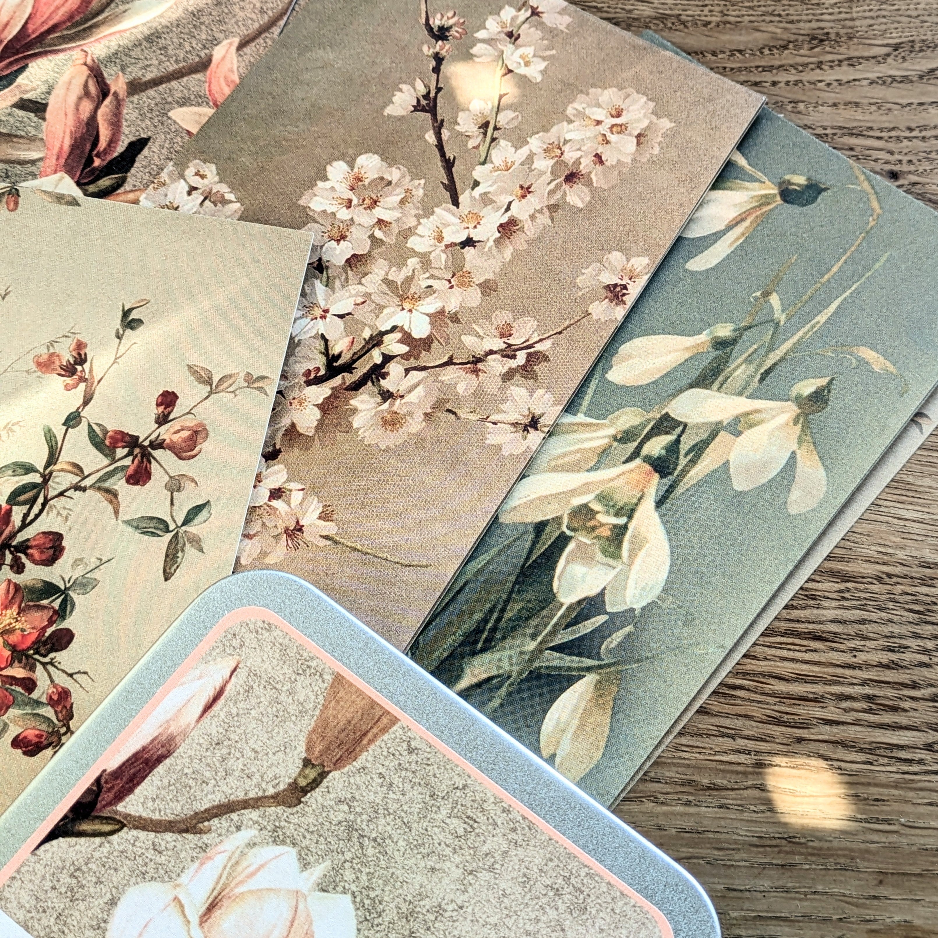 20 Postcard In A Tin | Vintage Spring