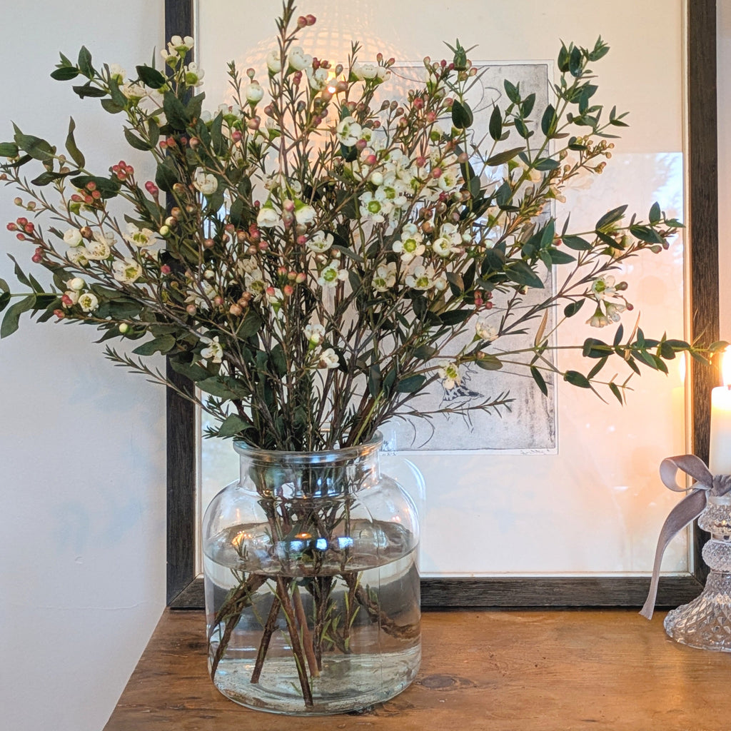 Fresh White Wax Flower Stems | 5 Stems