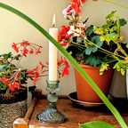Green Harlequin Pressed Glass Dinner Candlestick | 10cm