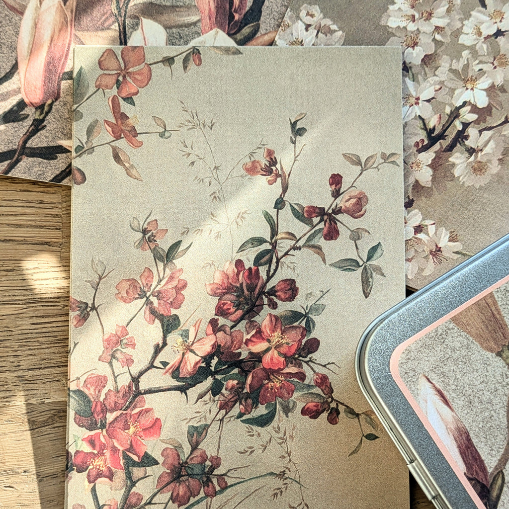 20 Postcard In A Tin | Vintage Spring