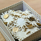 White & Gold Mini Star Garland - Fair Trade | 3Mtr