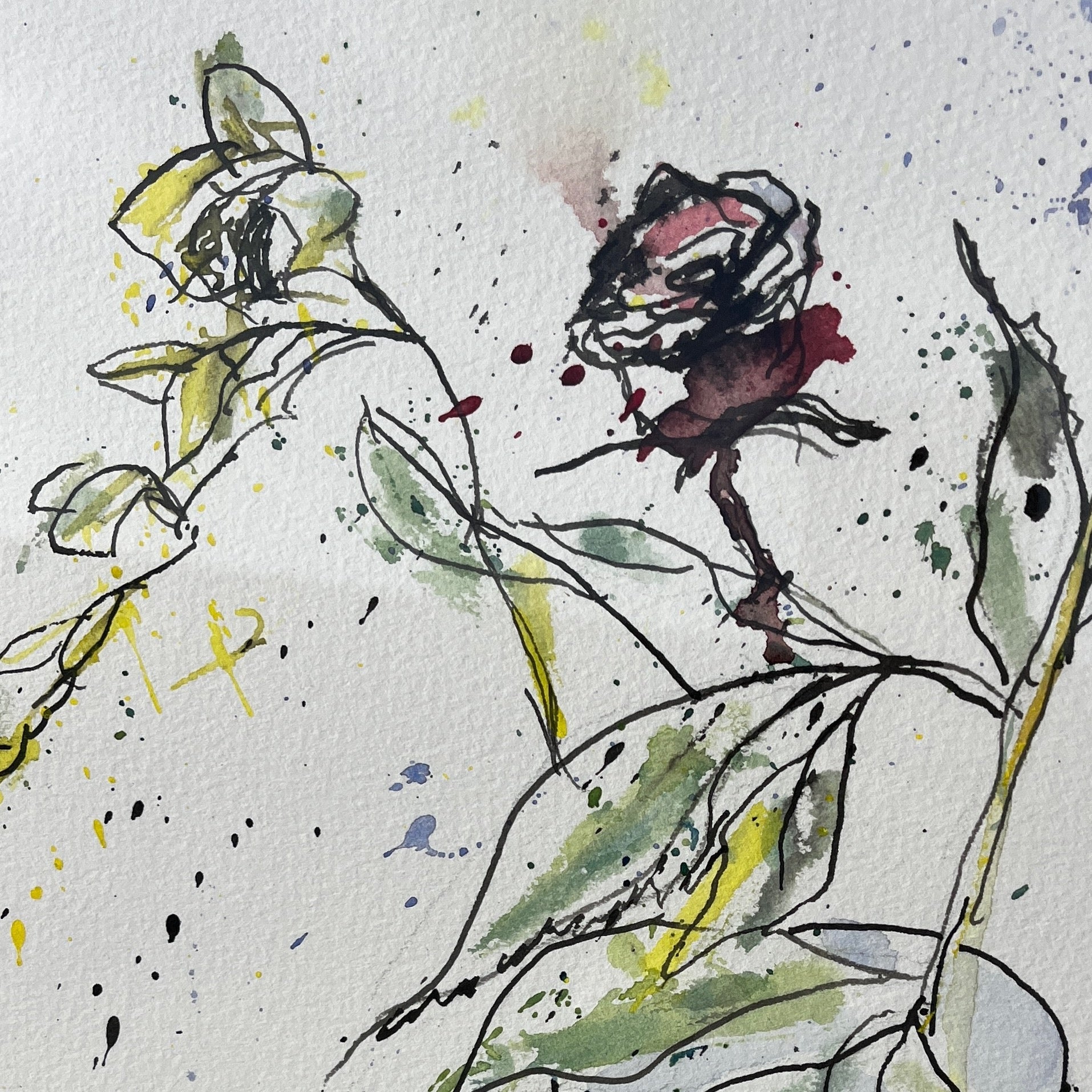 'Roses' by J Webb - Original Watercolour