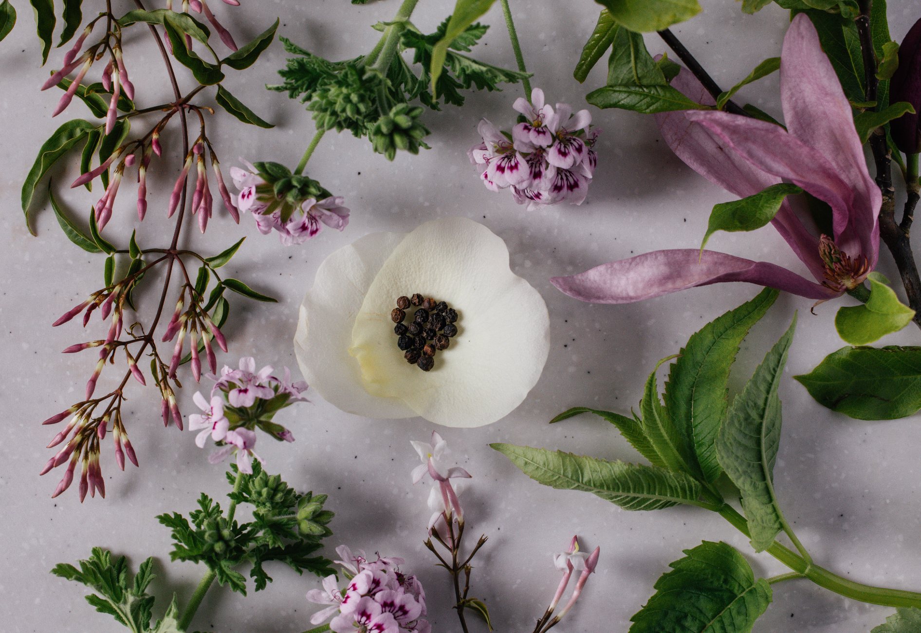 ELEGANT ROSE REED DIFFUSER