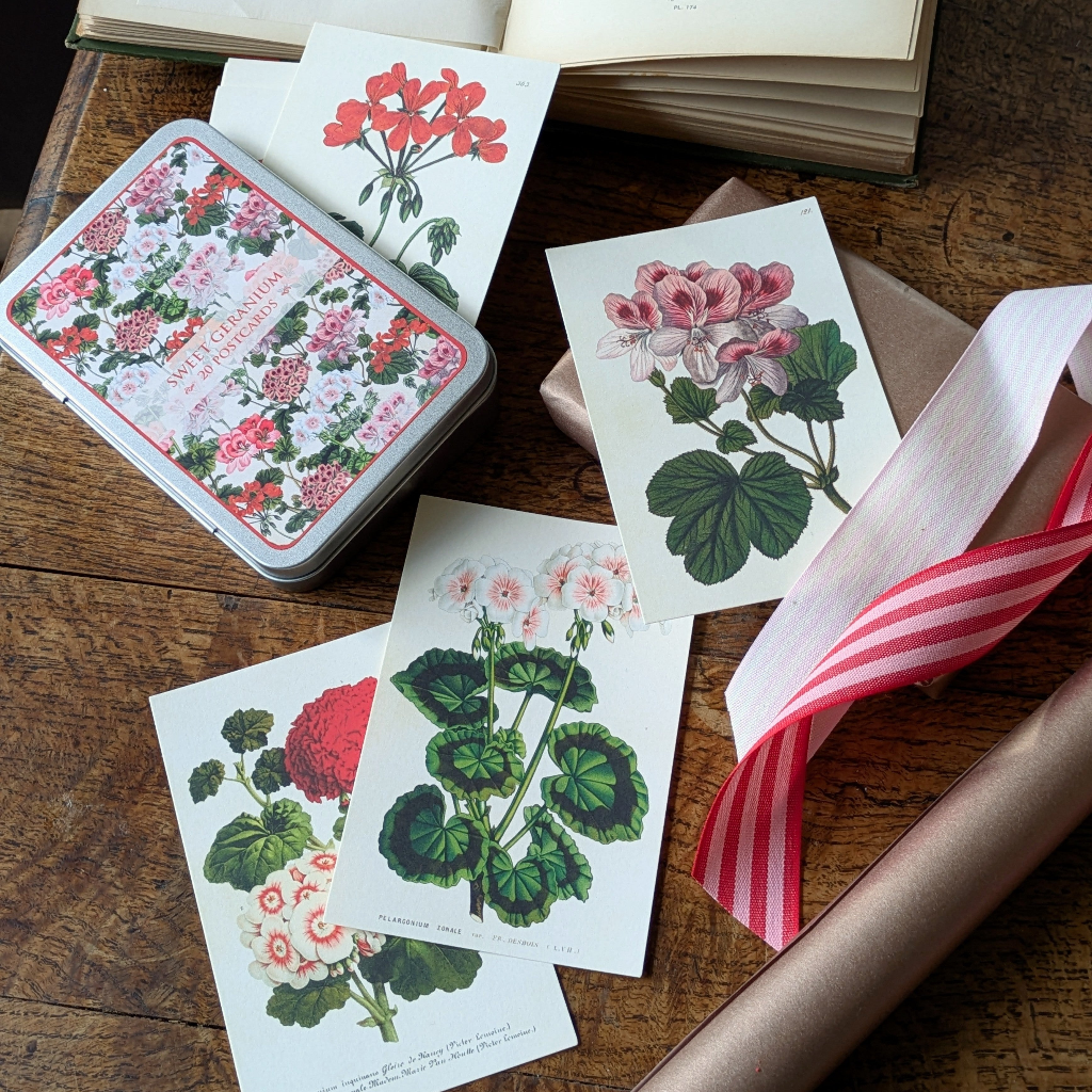 20 Postcard In A Tin | Sweet Geranium