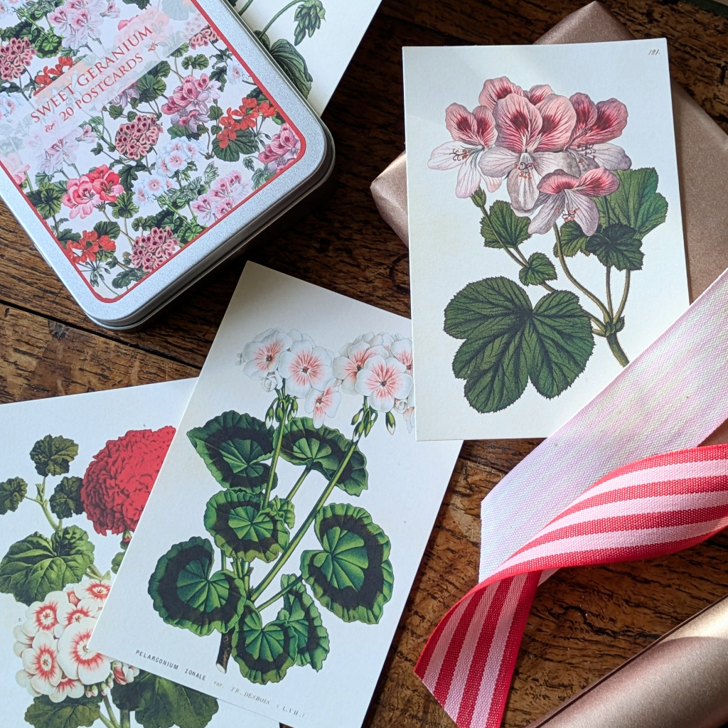20 Postcard In A Tin | Sweet Geranium