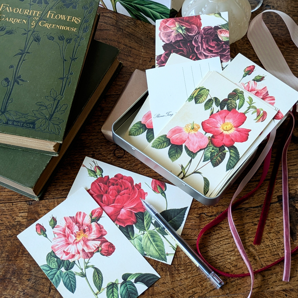 20 Postcard In A Tin | Botanical Roses