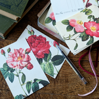 20 Postcard In A Tin | Botanical Roses