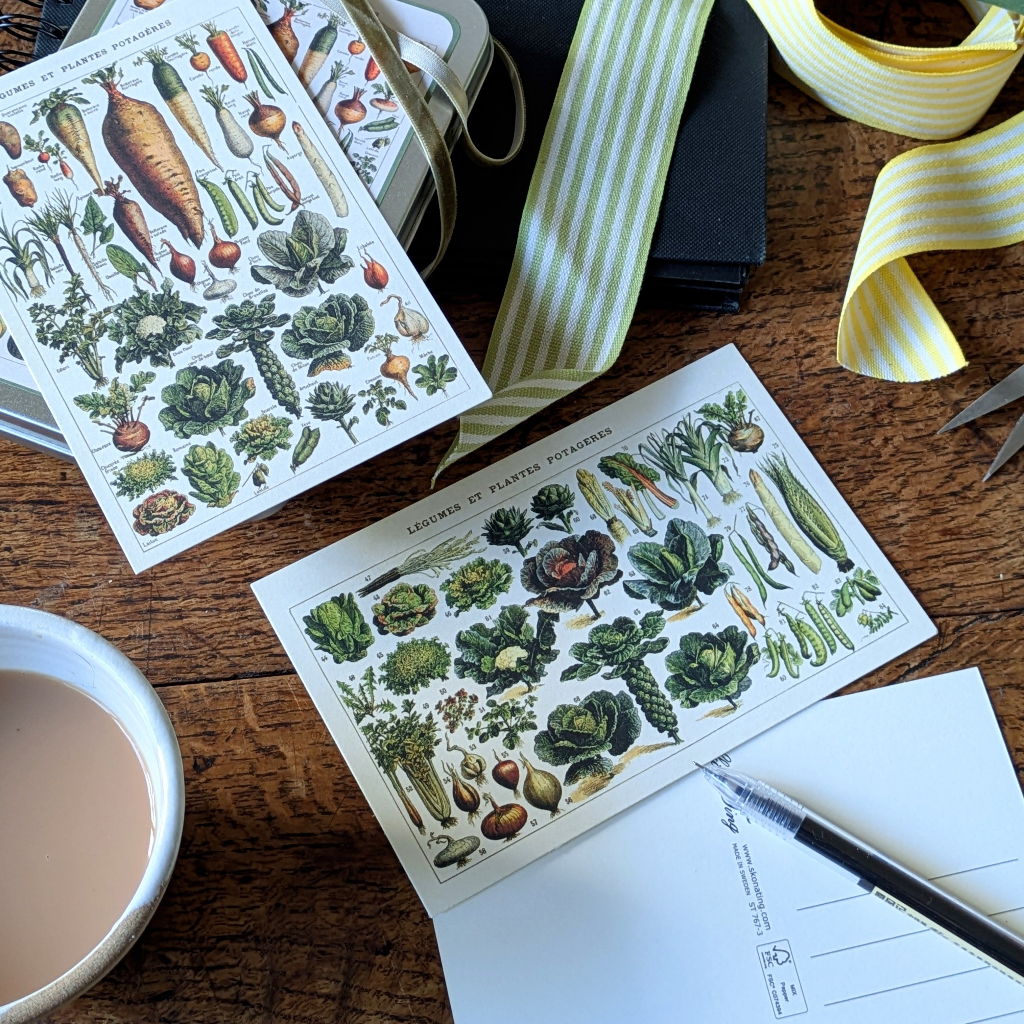 20 Postcard In A Tin | Vintage Vegetables