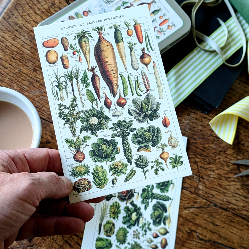 20 Postcard In A Tin | Vintage Vegetables